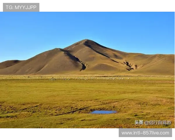 阿拉善隼赫尔足球俱乐部2-0轻取锡林郭勒西乌旗夺录足球俱乐部 阿拉善隼赫尔足球俱乐部2-0轻取锡林郭勒西乌旗夺录足球俱乐部